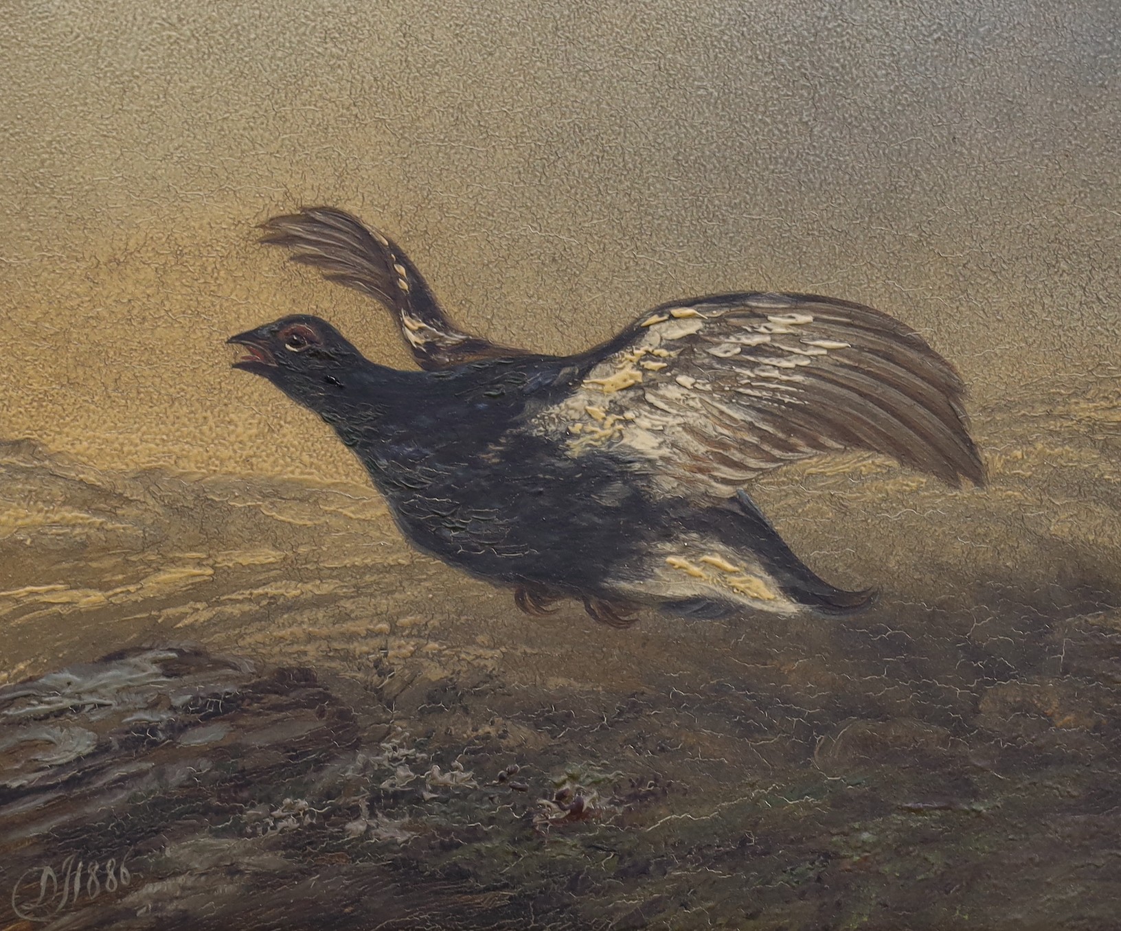 DJS 1886, two oils on canvas, Heron catching an eel and ptarmigan in flight, monogrammed and dated 1886, 24 x 29cm and 20 x 25cm, latter unframed